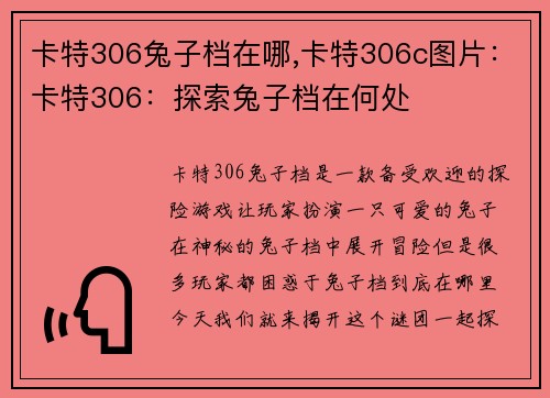 卡特306兔子档在哪,卡特306c图片：卡特306：探索兔子档在何处